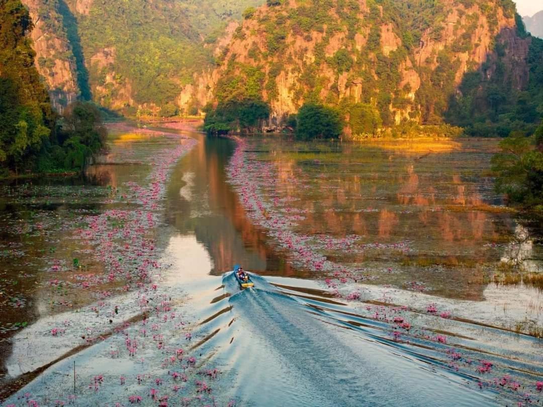 Tam Coc Paradise Homestay 宁平 外观 照片