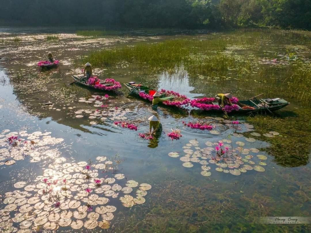 Tam Coc Paradise Homestay 宁平 外观 照片