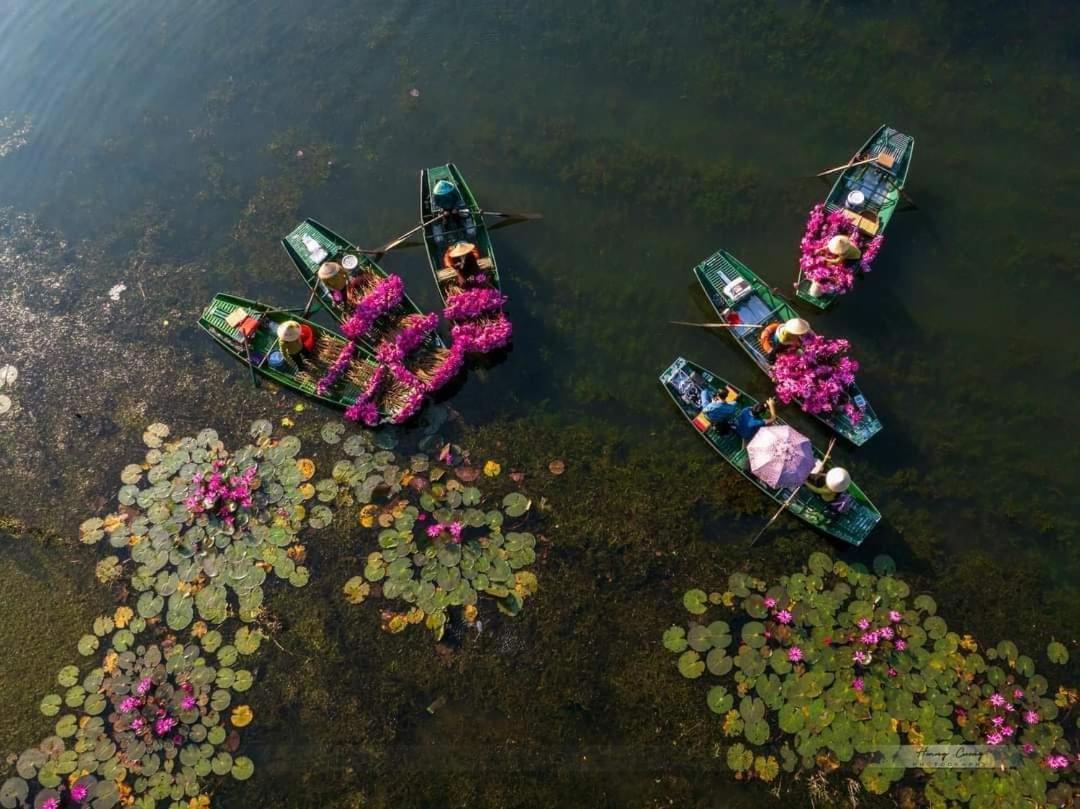 Tam Coc Paradise Homestay 宁平 外观 照片